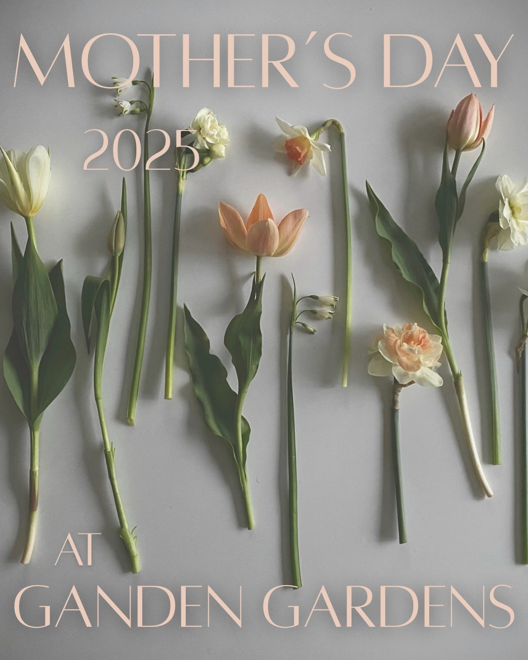 MOTHER'S DAY at Ganden Gardens