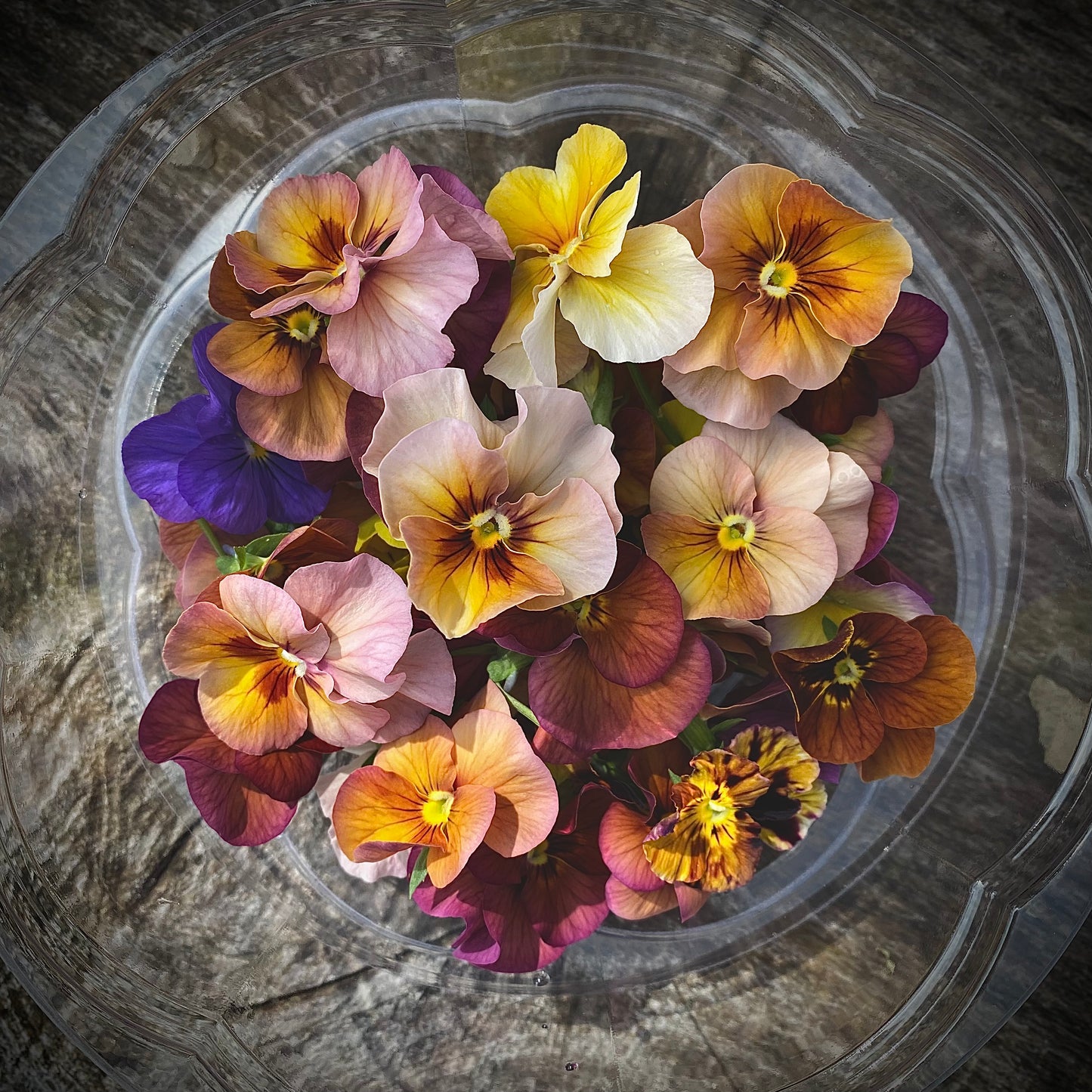 Edible Flowers Mix